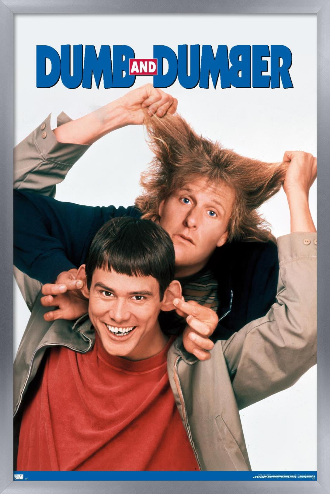 Dumb and Dumber - Together Wall Poster, 14.725" x 22.375", Framed