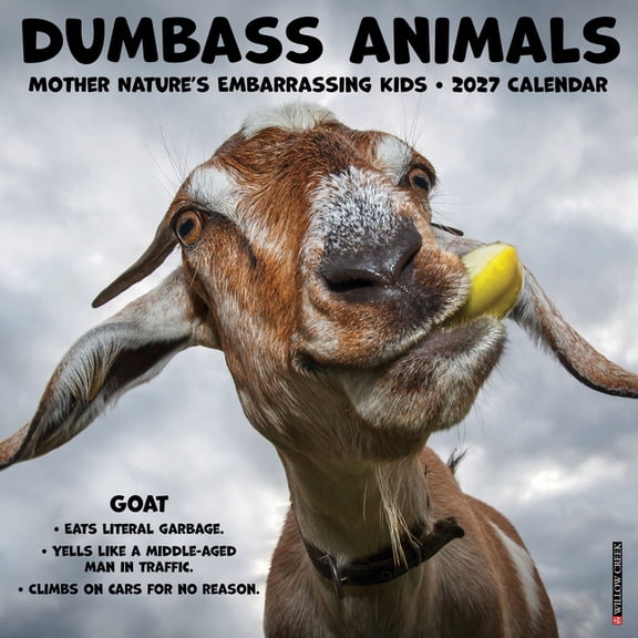 Dumbass Animals 2027 12 X 12 Wall Calendar, (Paperback)