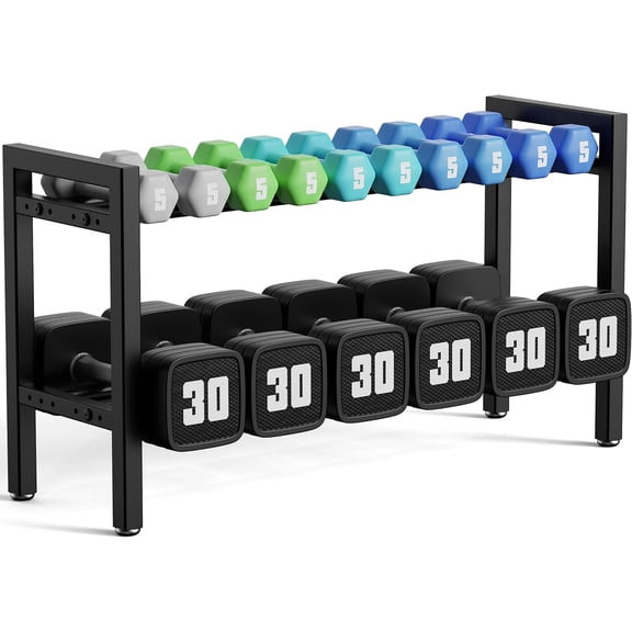 Dumbbell Rack 2-Tier Adjustable Weight Rack For Home Gym Dumbbells Kettlebell (Rack Only)