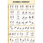 Dumbbell Workout Poster No-Equipment Exercise Poster for Home, Gym Training