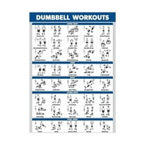 Dumbbell Workout Posters A must-have poster for fitness enthusiasts, specially designed for gyms.