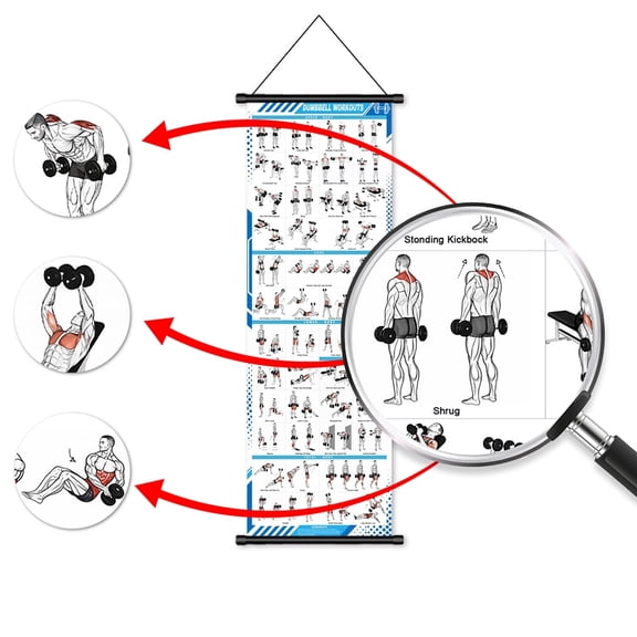 Dumbbell Workouts Poster Wall Chart 40x120cm Gym Exercise Guide for Strength Training, Home Fitness & Bodybuilding | Visual Reference for Full-Body Dumbbell Routines