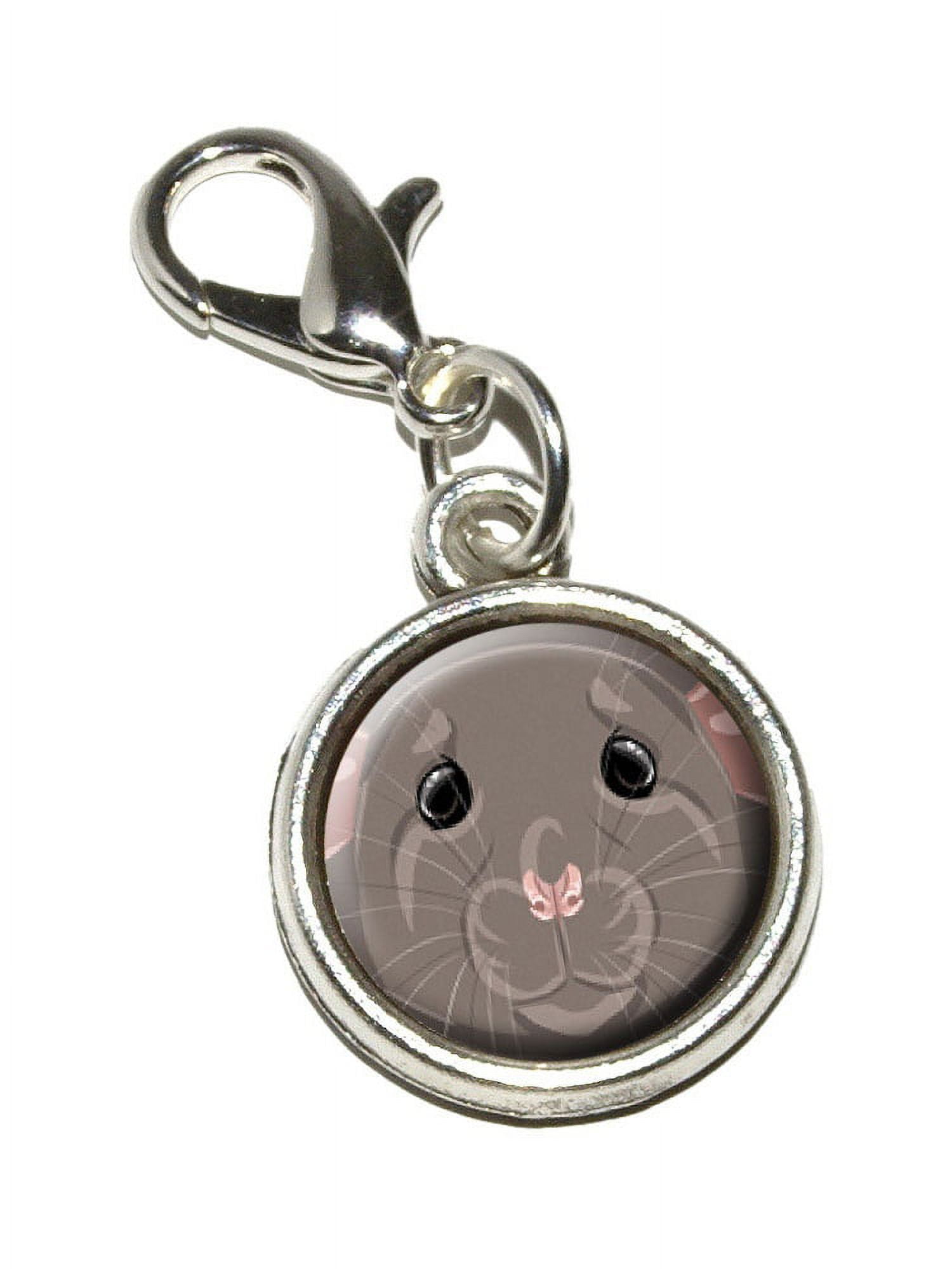 Cute Rats: Comforting Moments with Your Pet | TikTok, image size:1500x1998