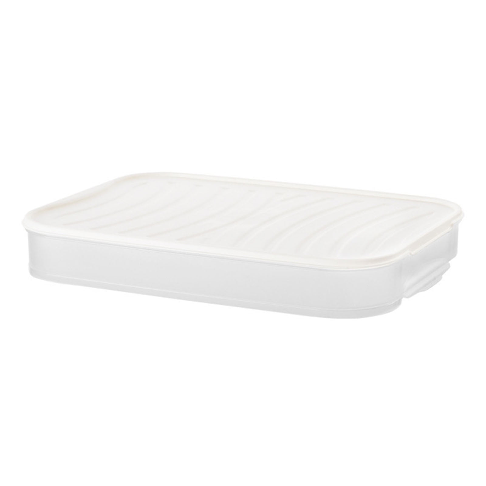 Dumpling Box Containers for Fridge Large Plastic Container Flat Storage ...
