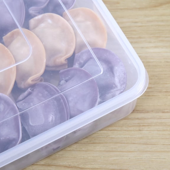 Dumpling Box Containers for Fridge, Large Plastic Container, Flat Storage Bins, Stackable Food Storage Containers, Refrigerator Box Dumpling Case Kitchen Supply Tray, 1 Pcs, 10.82x8.6x1.96"