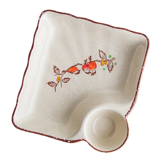 Dumpling Plate Ceramic Hand Painted Square Serving Dish with Dipping Area