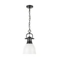 thumbnail image 1 of Yep by Golden Lighting Duncan 1-light 9in Chain Hung Pendant in Matte Black and Matte White shade, 1 of 1