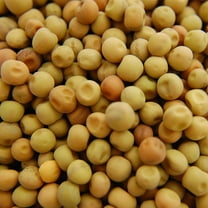 Dundale (Dun) Pea Seeds - 25 g Packet ~80 Seeds - Dried Dun Peas - Certified Organic, Open Pollinated - Non-GMO - Farm & Garden Cover Crop, Microgreens, Sprouts, Emergency Food Storage