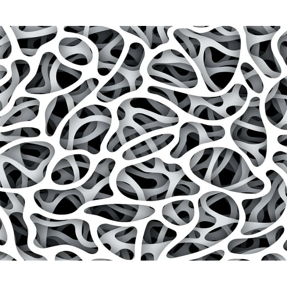 Dundee Deco Black and White Organic Network Abstract Wall Mural, 11'10" x 8'10"
