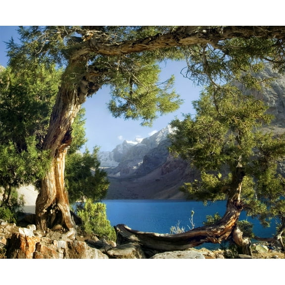 Dundee Deco Mountain River Old Gnarled Tree Wall Mural, 11'10" x 8'10"