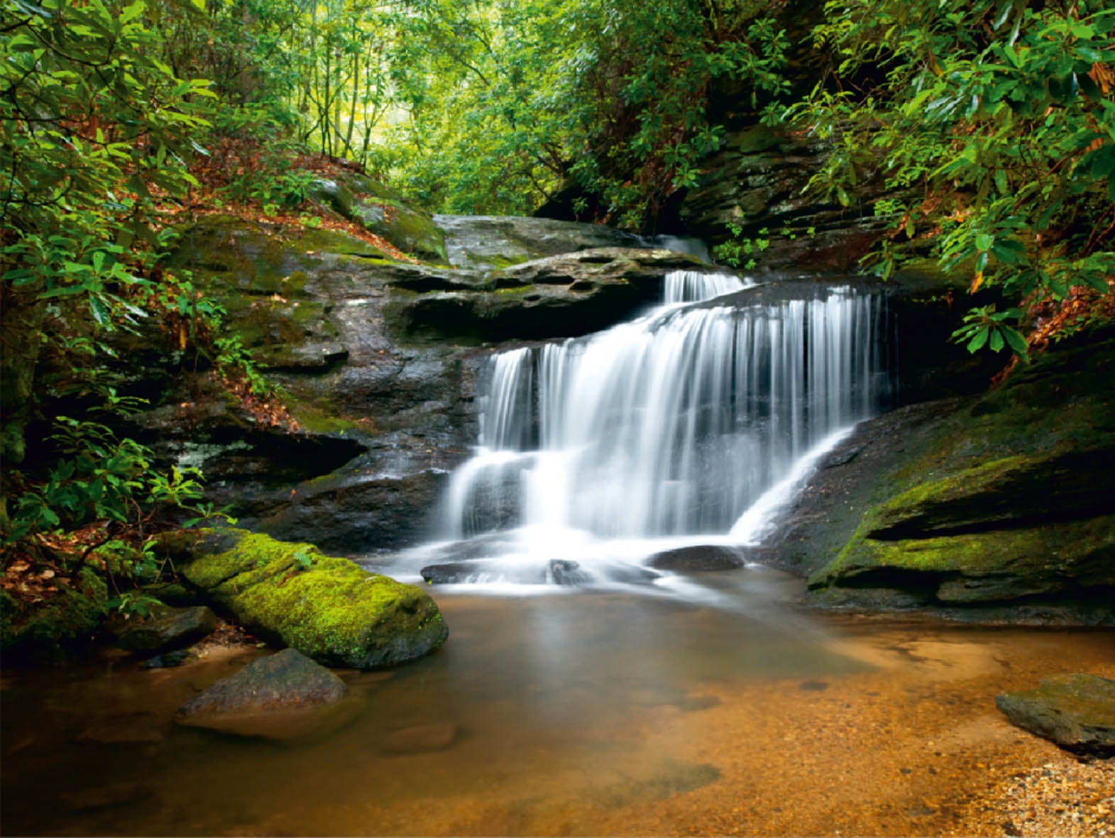 Dundee Deco Rock Waterfall Mountain River in the Forest Wall Mural, 11'10" x 8'10"