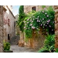 thumbnail image 1 of Dundee Deco Summer Garden Medieval Town in Spain Wall Mural, 11'10" x 8'10", 1 of 3