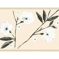thumbnail image 1 of Dundee Deco's Peel and Stick Wallpaper Border - Floral White Cream Flowers and Leaves Wall Border Retro Design, 15 ft x 7 in, Self Adhesive, 1 of 6