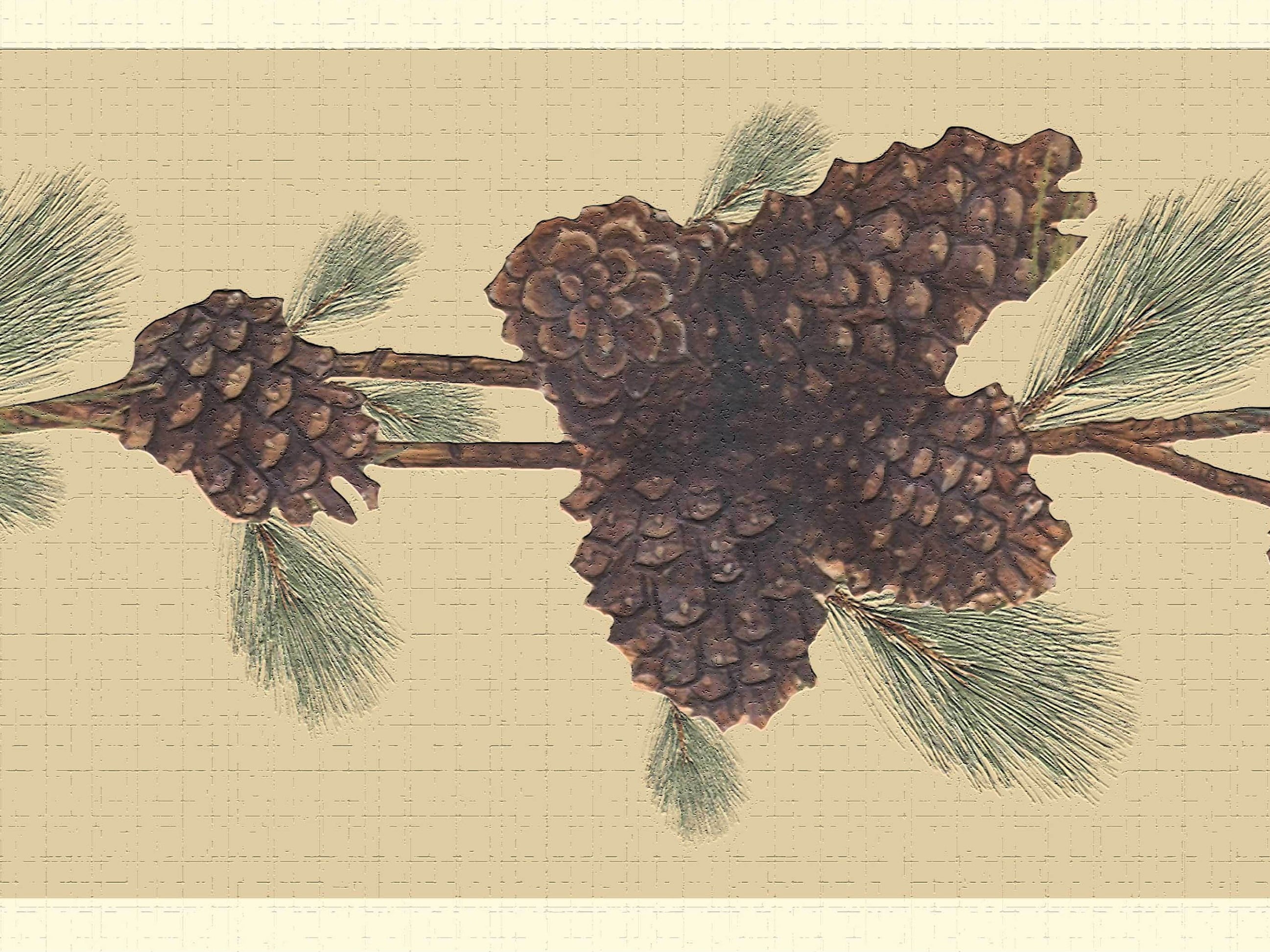 Dundee Deco's Peel and Stick Wallpaper Border - Nature Green Brown Pine cones Wall Border Retro Design, 15 ft x 7 in, Self Adhesive