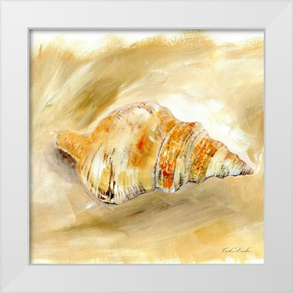 Dundon, Caitlin 26x26 White Modern Wood Framed Museum Art Print Titled - Painted Seashells IV