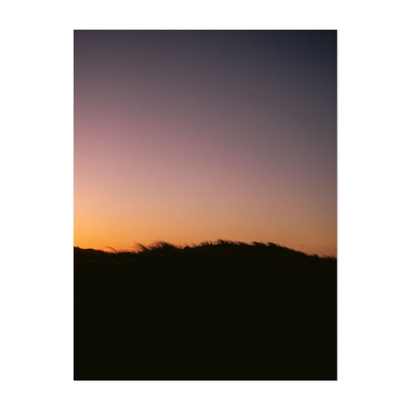 Dune Grass Sunset - Travel Photography - Photography Sunset Silhouette Minimalist Scenic Nature Landscape Pastel Unframed Wall Art Print 5 x 7 inches