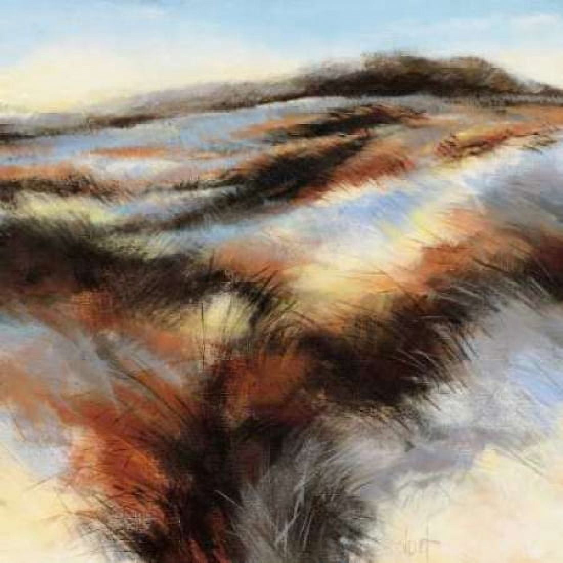 Dune I Canvas Art - D Boersma (24 x 24)