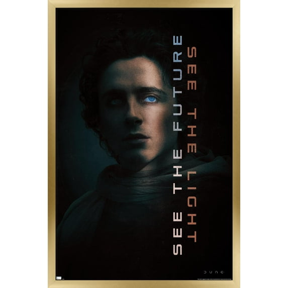 Dune: Part 2 - Paul Atreides Light Wall Poster, 14.725" x 22.375" Framed