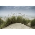 thumbnail image 1 of Dune grass along the Oregon coast; Oregon, United States of America Poster Print (38 x 24), 1 of 3