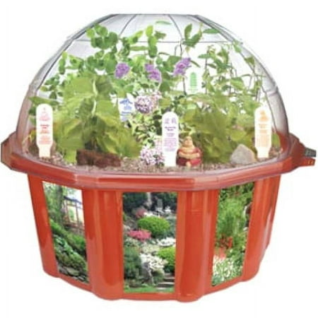 Dunecraft Bonsai Village Dome Terrarium