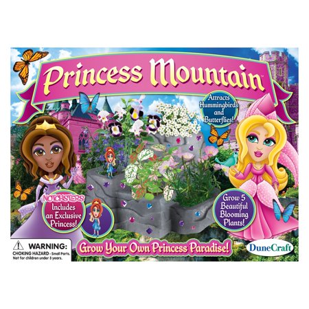 DuneCraft Princess Mountain