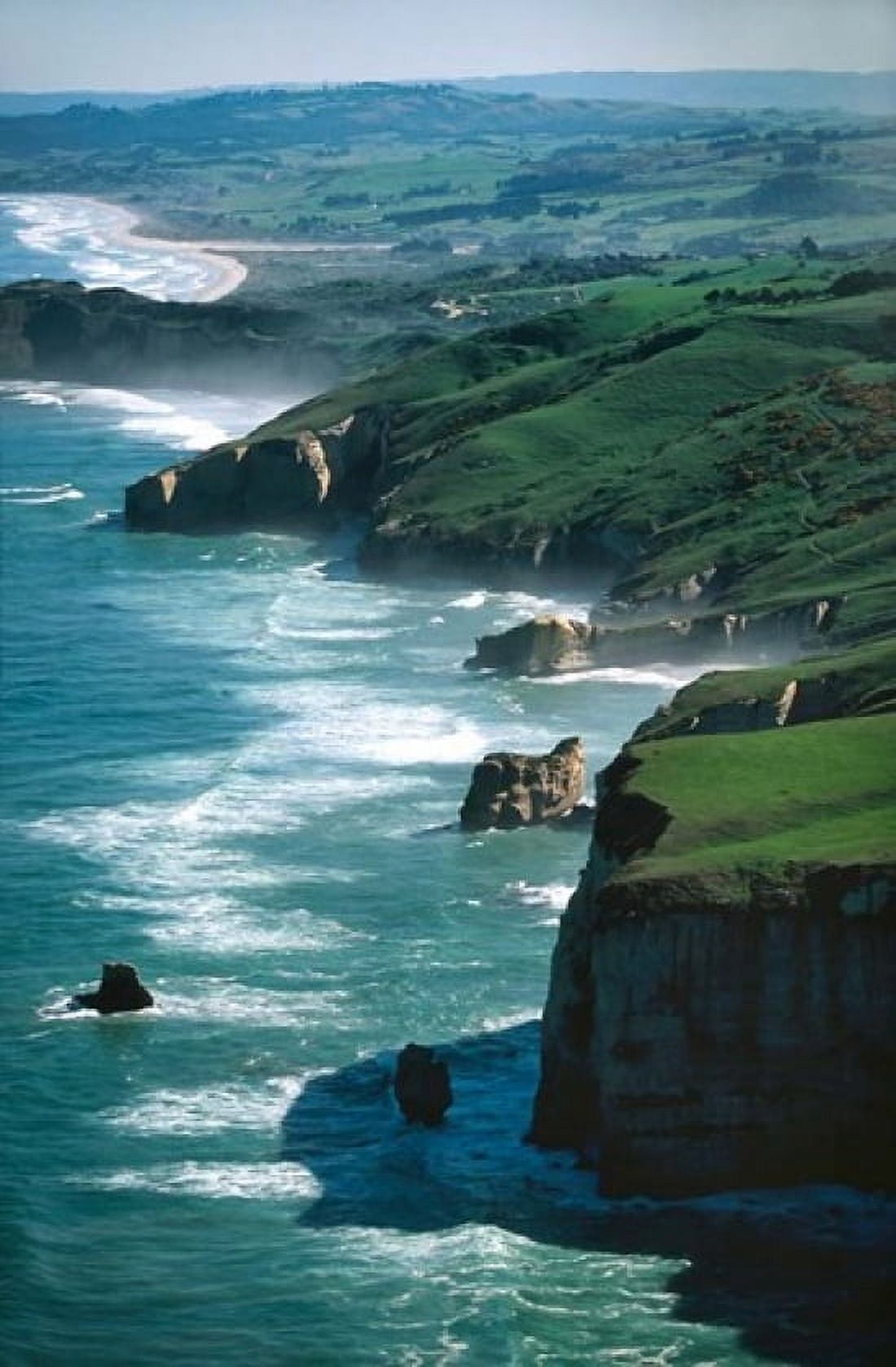 Dunedin Coast near Tunnel Beach New Zealand Canvas Art - David Wall DanitaDelimont (24 x 37)