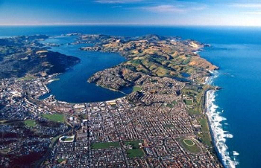 Dunedin Otago Peninsula Harbor and Pacific Ocean New Zealand Canvas Art - David Wall DanitaDelimont (18 x 12)