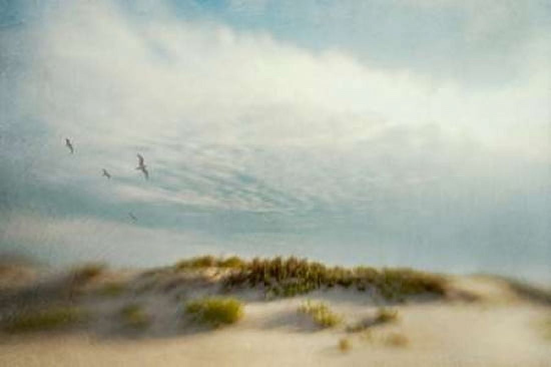 Dunes 1 Canvas Art - Dawn D Hanna (24 x 36)