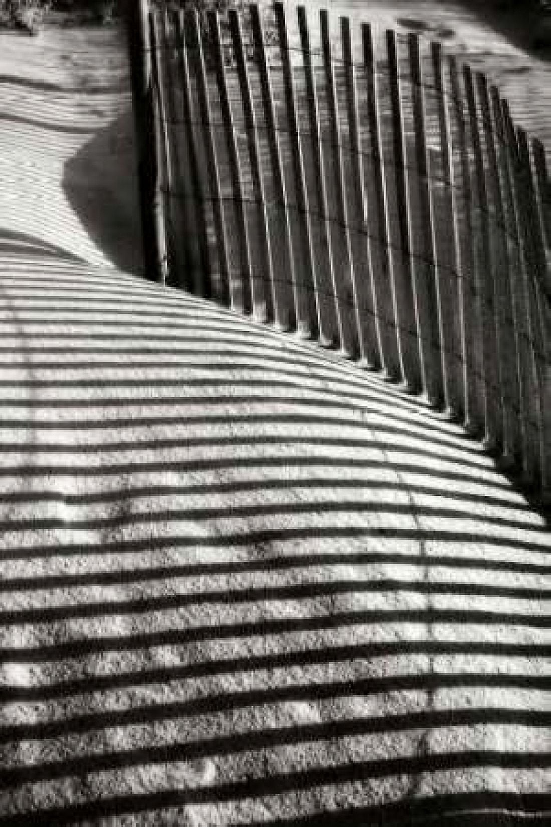 Dunes Fence VI Canvas Art - Alan Hausenflock (20 x 28)
