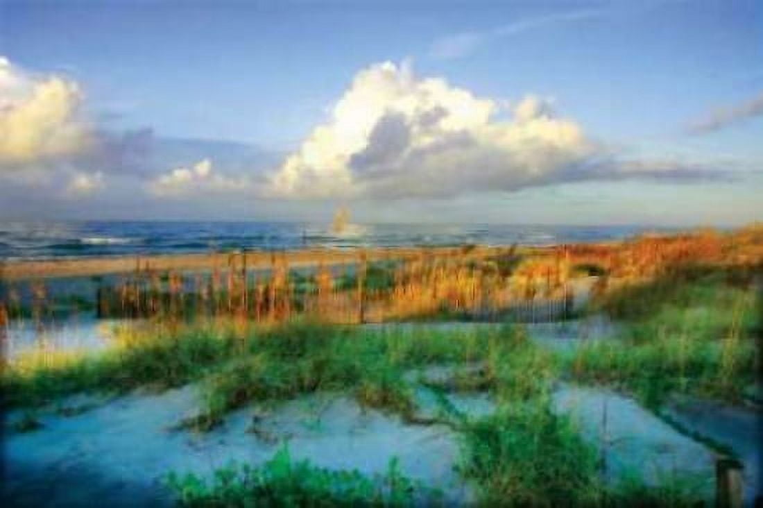 Dunes I Canvas Art - Alan Hausenflock (12 x 18)
