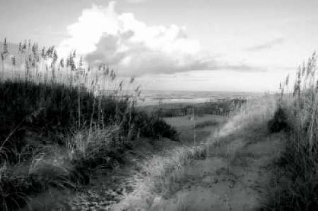 Dunes I Canvas Art - Alan Hausenflock (24 x 36)