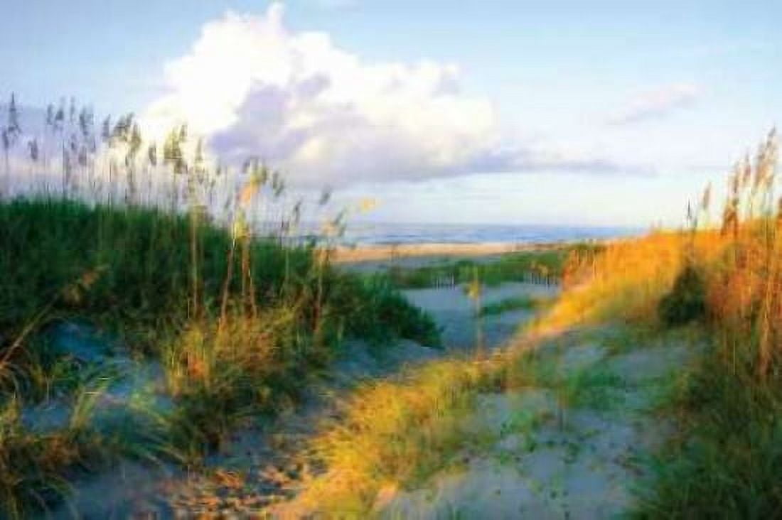 Dunes I Canvas Art - Alan Hausenflock (24 x 36)