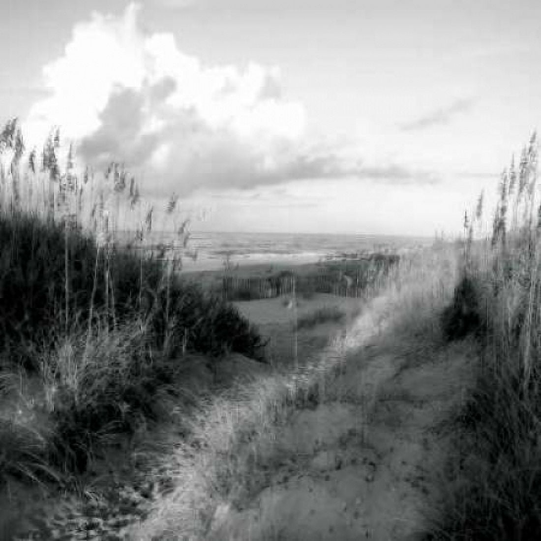 Dunes I Sq BW Canvas Art - Alan Hausenflock (24 x 24)