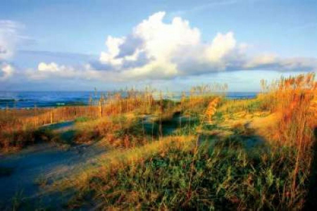 Dunes II Canvas Art - Alan Hausenflock (24 x 36)