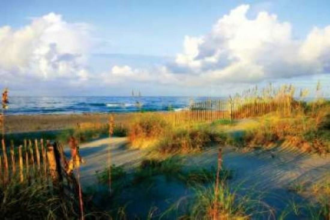 Dunes II Canvas Art - Alan Hausenflock (24 x 36)