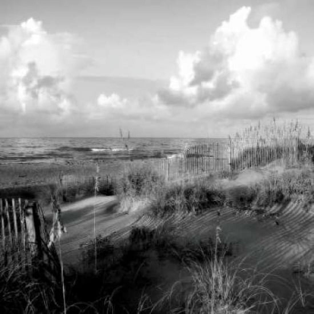 Dunes II Sq BW Canvas Art - Alan Hausenflock (24 x 24)