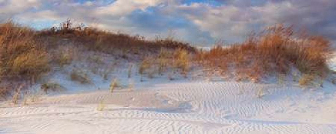 Dunes Light Canvas Art - Katherine Gendreau (10 x 20)