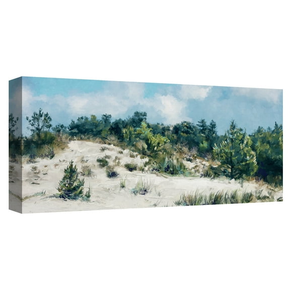 Dunescape by Studio Arts Canvas Art Print