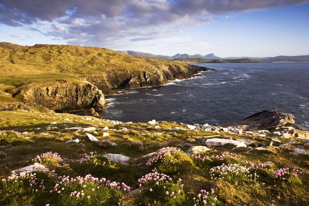 Dunfanaghy County Donegal Ireland Coastal Irish Field And Seascape Canvas Art - Peter McCabe Design Pics (17 x 11)