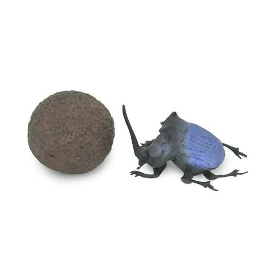 Dung Beetle, Poop, Scarabaeoidea, 2 pieces, Museum Quality, Hand Painted, Rubber Gastropod, Realistic Toy, Figure, Model, Replica, Kids, Educational, Gift, 5" CH296 BB180