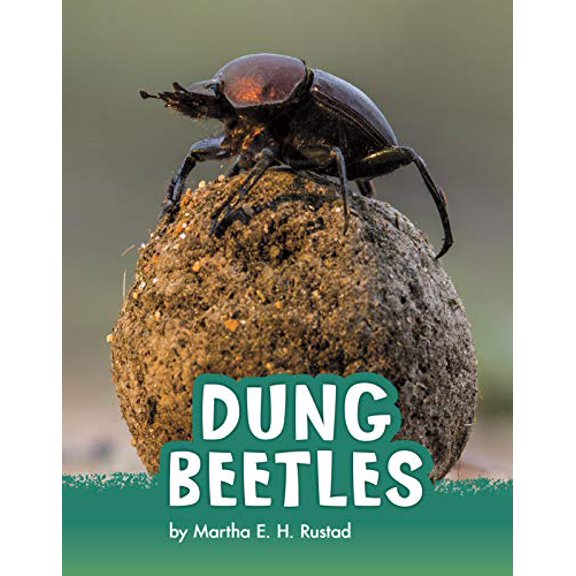 Pre-Owned Dung Beetles (Paperback) 1977126499 9781977126498