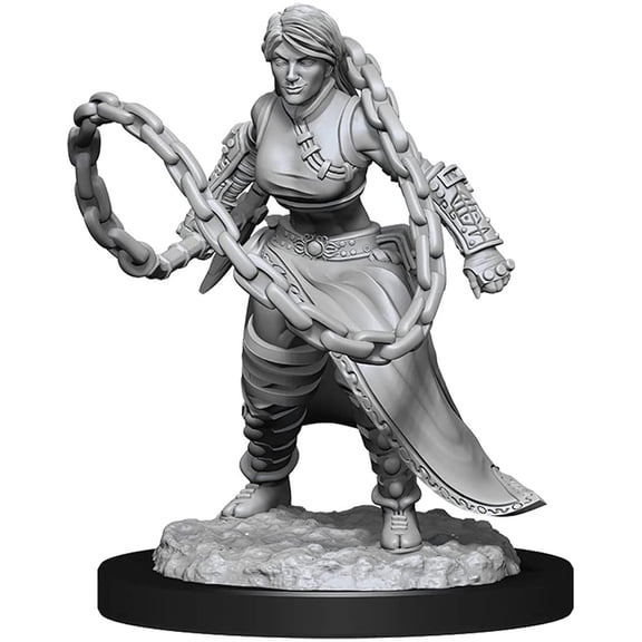 DD Character - Human Monk Female