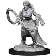 DD Character - Human Monk Female
