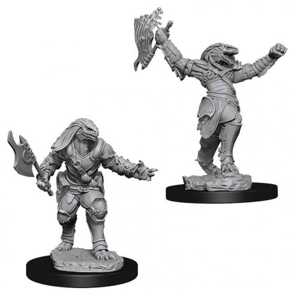Dungeons & Dragons Nolzurs Marvelous Unpainted Female Dragonborn Fighter W11 Miniature
