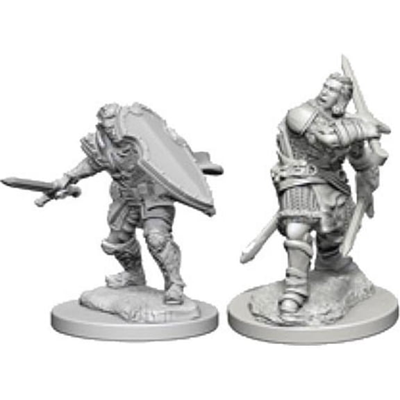 Dungeons & Dragons Nolzurs Marvelous Unpainted Human Male Paladin Miniature