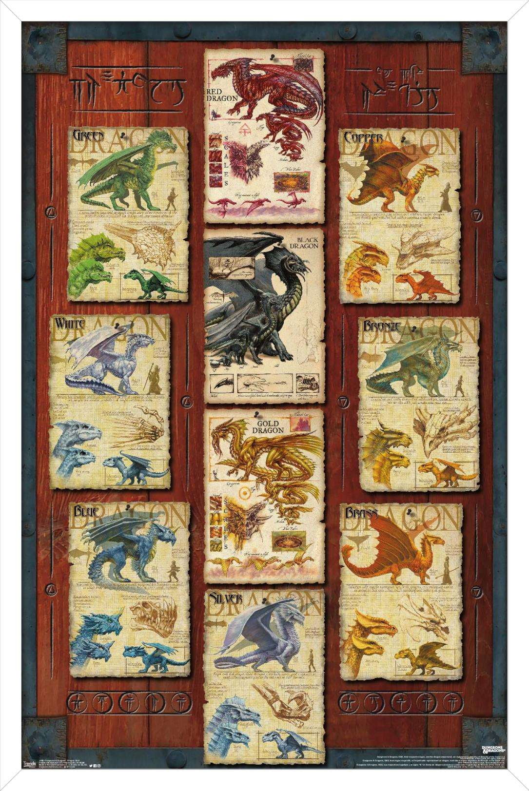 Dungeons and Dragons - Dragon Grid Wall Poster, 14.725" x 22.375", Framed