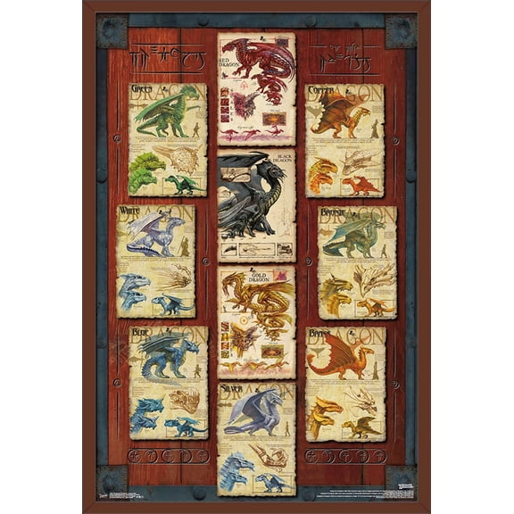 Dungeons and Dragons - Dragon Grid Wall Poster, 22.375" x 34", Framed