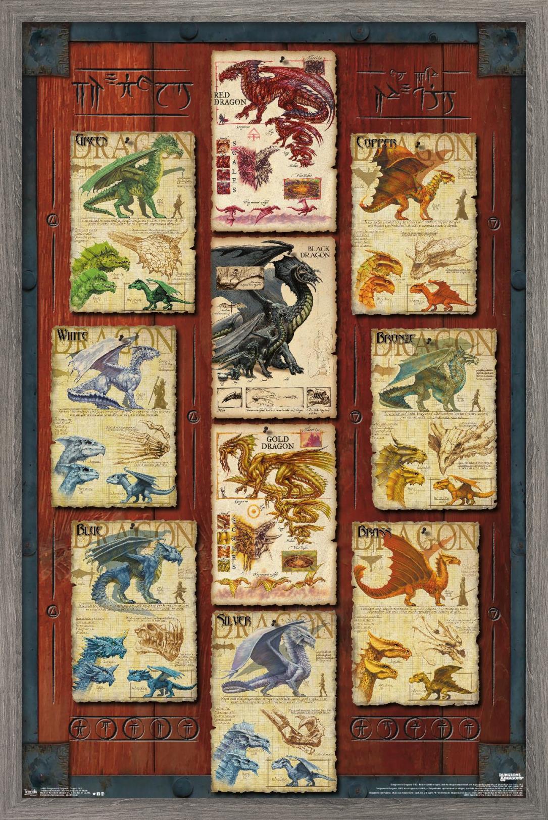 DnD Dungeons and Dragons Dragon Species Gold Silver Bronze Poster in