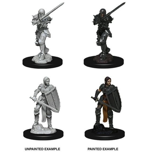 Dungeons and Dragons: Nolzur's Marvelous Unpainted Miniatures Female Human Fighter