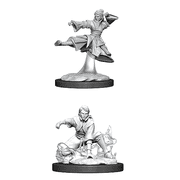 Dungeons & Dragons Nolzurs Marvelous Unpainted Miniatures Female Human Monk